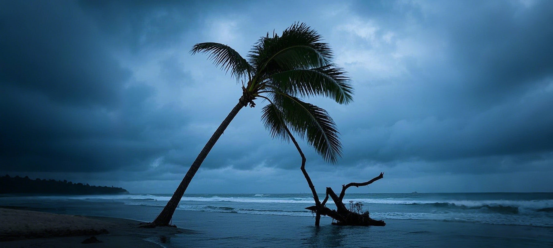 Prepare for a Hurricane
