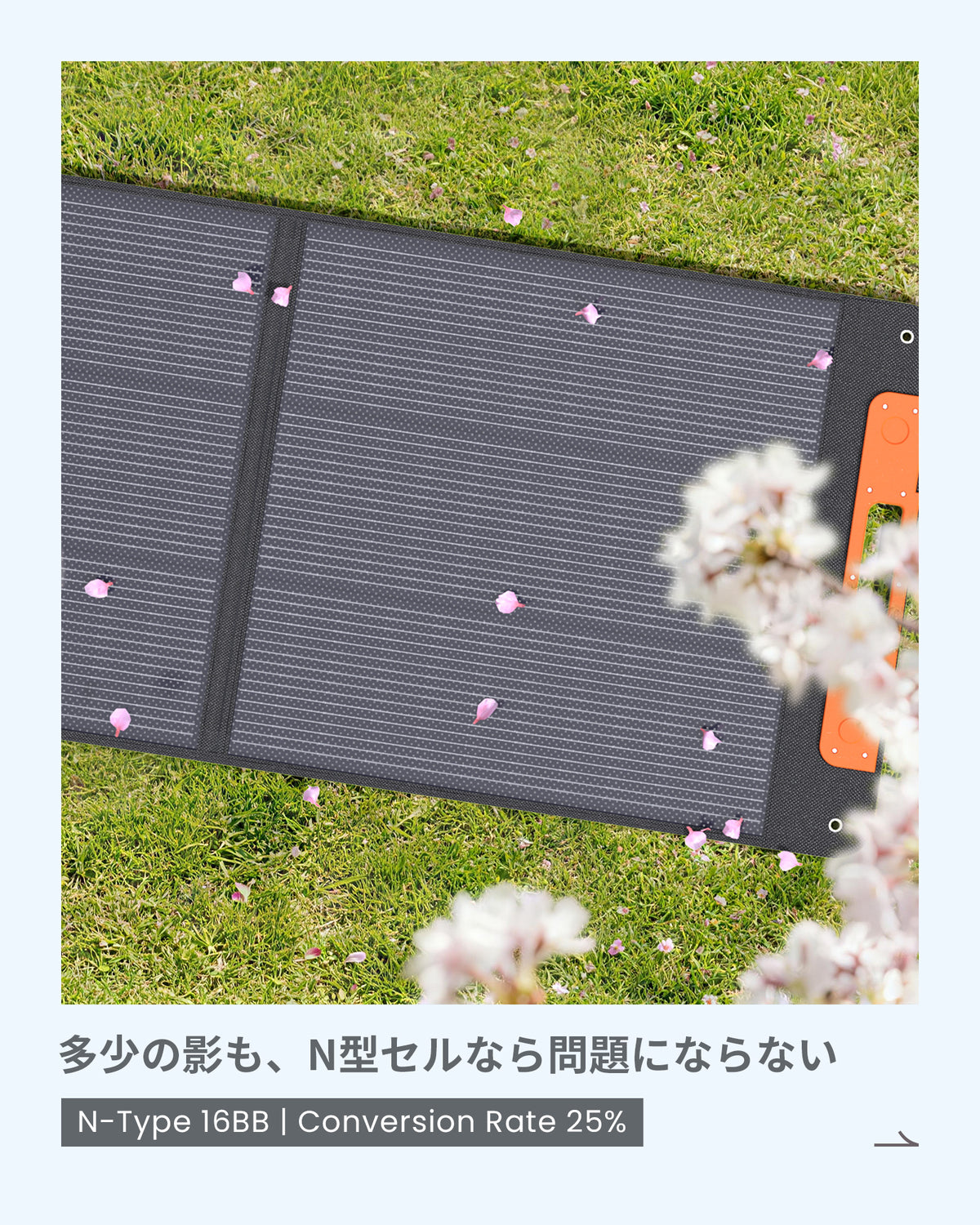 High-efficiency N-type 16BB solar cell panels with a 25% conversion rate deployed on green grass with pink cherry blossoms.